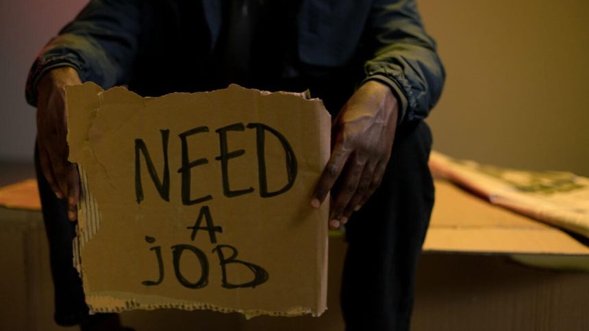 SA Unemployment Rate Drops to 31.9% Q4 2024